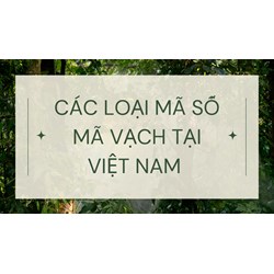 Các loại mã số mã vạch tại Việt Nam