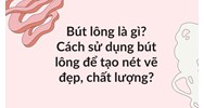 Bút lông là gì? Cách sử dụng bút lông để tạo nét vẽ đẹp, chất lượng?