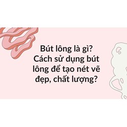 Bút lông là gì? Cách sử dụng bút lông để tạo nét vẽ đẹp, chất lượng?