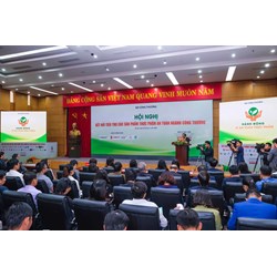 Giấy phép Tổ chức Hội thảo, hội nghị <strong>giới</strong> thiệu thực phẩm