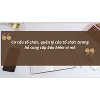 Cơ cấu tổ chức, quản lý của tổ chức tương hỗ cung cấp bảo hiểm vi mô