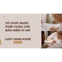 Tổ chức được phép cung cấp bảo hiểm vi mô