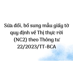 Mẫu giấy tờ quy định về Thị thực rời (NC2) theo Thông tư 22/2023/TT-BCA