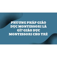 Phương pháp giáo dục Montessori là gì? Giáo dục Montessori cho trẻ
