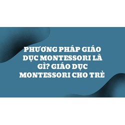 Phương pháp giáo dục Montessori là gì? Giáo dục Montessori cho trẻ