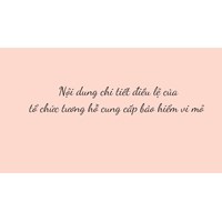 Nội dung chi tiết điều lệ của tổ chức tương hỗ cung cấp bảo hiểm vi mô