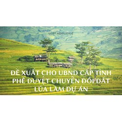 Đề xuất cho UBND cấp tỉnh phê duyệt chuyển đổi đất lúa làm dự án