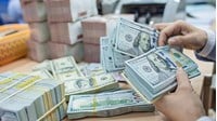 Điều kiện vay nước ngoài không được Chính phủ bảo lãnh là gì?