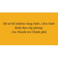Hồ sơ bổ nhiệm công chức, viên chức lãnh đạo cấp phòng của Thanh tra Chính phủ gồm những thành phần nào?