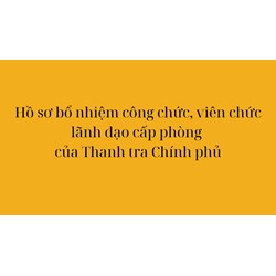 Hồ sơ bổ nhiệm công chức, viên chức lãnh đạo cấp phòng của Thanh tra Chính phủ gồm những thành phần nào?