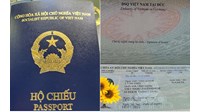 Quy định về mẫu hộ chiếu theo Thông tư 31/2023/TT-BCA