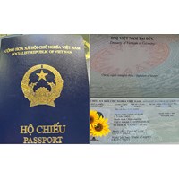 Quy định về mẫu hộ chiếu theo Thông tư 31/2023/TT-BCA