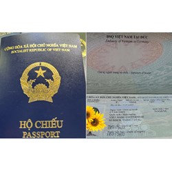 Quy định về mẫu hộ chiếu theo Thông tư 31/2023/TT-BCA