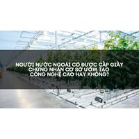 Người nước ngoài có được cấp giấy chứng nhận cơ sở ươm tạo công nghệ cao hay không?