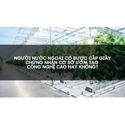 Người nước ngoài có được cấp giấy chứng nhận cơ sở ươm tạo công nghệ cao hay không?