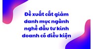 Đề xuất cắt giảm danh mục ngành nghề đầu tư kinh doanh có điều kiện