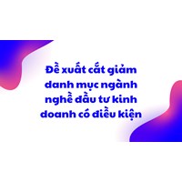 Đề xuất cắt giảm danh mục ngành nghề đầu tư kinh doanh có điều kiện