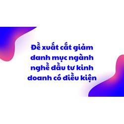 Đề xuất cắt giảm danh mục ngành nghề đầu tư kinh doanh có điều kiện