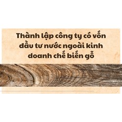 Thành lập công ty có vốn đầu tư nước ngoài kinh doanh chế biến gỗ