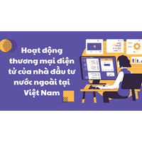 Hoạt động thương mại điện tử của nhà đầu tư nước ngoài tại Việt Nam