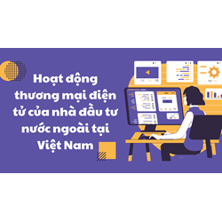 Hoạt động thương mại điện tử của nhà đầu tư nước ngoài tại Việt Nam