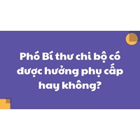 Phó Bí thư chi bộ có được hưởng phụ cấp hay không?