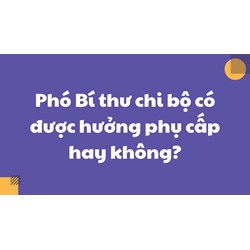 Phó Bí thư chi bộ có được hưởng phụ cấp hay không?