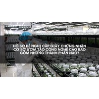 Hồ sơ đề nghị cấp giấy chứng nhận cơ sở ươm tạo công nghệ cao bao gồm những thành phần nào?