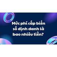 Mức phí cấp biển số định danh là bao nhiêu tiền?