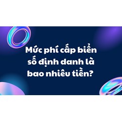 Mức phí cấp biển số định danh là bao nhiêu tiền?