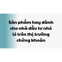 Sản phẩm hay dành cho nhà đầu tư nhỏ lẻ trên thị trường chứng khoán