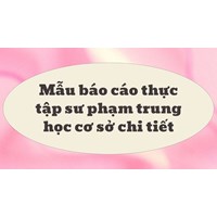 Mẫu báo cáo thực tập sư phạm trung học cơ sở chi tiết