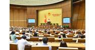 Quốc hội biểu quyết thông qua Luật Kinh doanh bảo hiểm (sửa đổi)