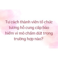Tư cách thành viên tổ chức tương hỗ cung cấp bảo hiểm vi mô chấm dứt trong trường hợp nào?