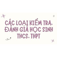 Các loại kiểm tra, đánh giá học sinh THCS, THPT