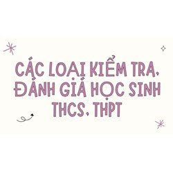 Các loại kiểm tra, đánh giá học sinh THCS, THPT