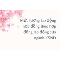 Mức lương lao động hợp đồng theo hợp đồng lao động của ngành KSND