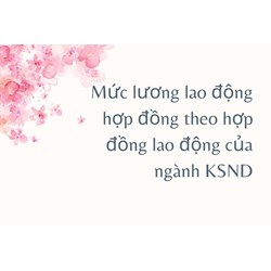Mức lương lao động hợp đồng theo hợp đồng lao động của ngành KSND