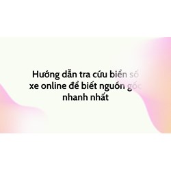 Hướng dẫn tra cứu biển số xe online để biết nguồn gốc nhanh nhất