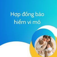 Nội dung nào bắt buộc phải có trong hợp đồng bảo hiểm vi mô?