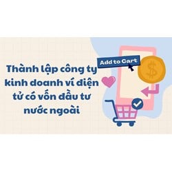 Thành lập công ty kinh doanh ví điện tử có vốn đầu tư nước ngoài