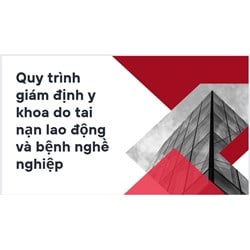 Quy trình giám định y khoa do tai nạn lao động và bệnh nghề nghiệp