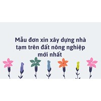 Mẫu đơn xin xây dựng nhà tạm trên đất nông nghiệp mới nhất