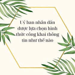 Uỷ ban nhân dân được lựa chọn hình thức công khai thông tin như thế nào