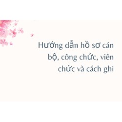 Hướng dẫn lập hồ sơ cán bộ công chức, viên chức và cách ghi