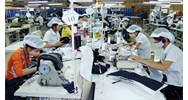 Nợ tiền bảo hiểm xã hội chủ doanh nghiệp có bị cấm xuất cảnh?