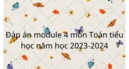 Đáp án module 4 môn Toán Tiểu học mới nhất