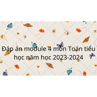 Đáp án module 4 môn Toán Tiểu học mới nhất