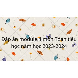 Đáp án module 4 môn Toán Tiểu học mới nhất