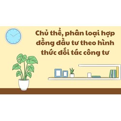 Chủ thể, phân loại hợp đồng đầu tư theo hình thức đối tác công tư